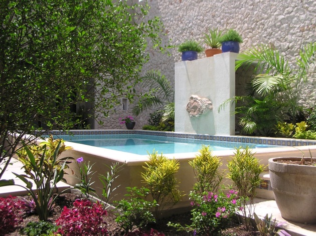 pool & garden